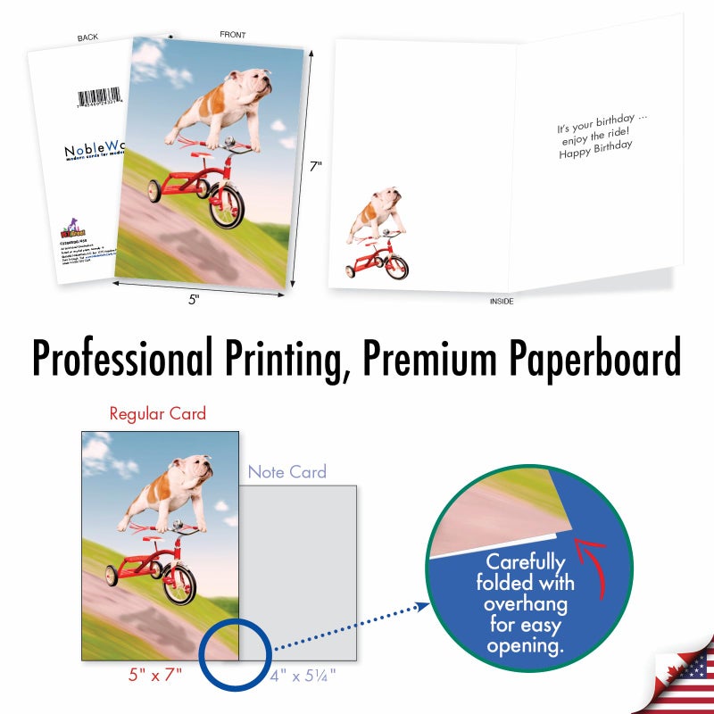 NobleWorks - 1 Adorable Birthday Card Funny - Pet Dog Animal Humor, Bday Notecard with Envelope - Dog on Trike C3204BDG - Image 3